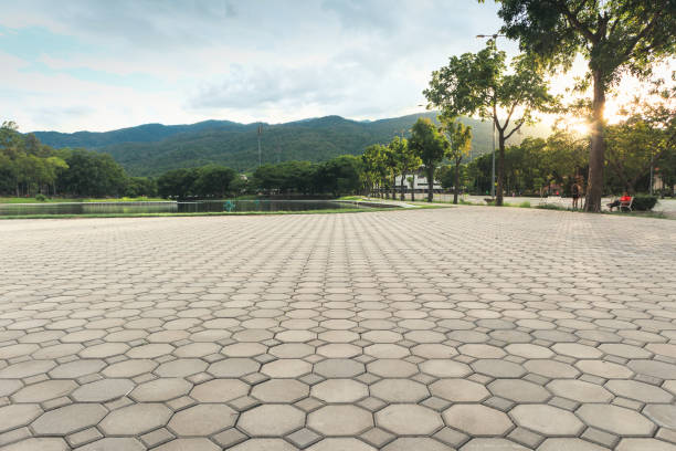 Best Commercial Driveway Pavers  in East Rockingham, NC